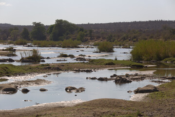 View of winding river with vegetation and rocks. Taken in Kruger National Park, South Africa.