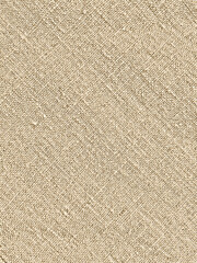 Natural Beige Woven Fabric Texture Close-up
