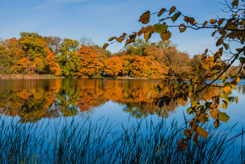 Lake in Autumn