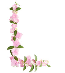 Single vertical floral corner made of delicate pink hydrangea flowers and green leaves, isolated on a transparent background. Elegant botanical accent for layouts, invitations, and design compositions