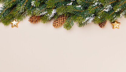 Snowy fir branches with cones on beige background