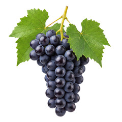 Fototapeta premium Fresh Bunch of Purple Grapes with Green Leaves on Transparent Background for Health