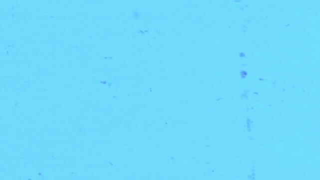 Gritty blue film texture and noise. The Blue Film Grime Overlay adds a cold, distressed cinematic aesthetic.