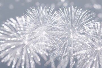 Festive Silver Fireworks on White Background Celebrating New Year 2026