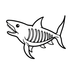 Fototapeta premium shark skeleton