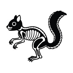 Fototapeta premium squirrel skeleton