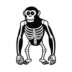 chimpanzee skeleton