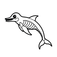 dolphin skeleton