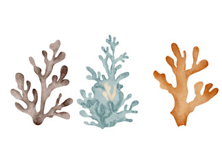 Obraz premium Horizontal Watercolor Underwater Composition with Colorful Corals, Starfish, Shell and Pebbles – Cute Marine Illustration for Kids, Nursery Wallpaper, Fabric and Textile Design