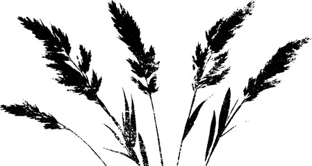 Obraz premium Black and white stencil illustration of dried grass blades for nature-inspired designs