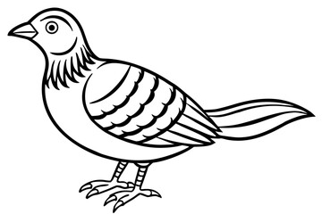 Zephyrelle bird line art white background 