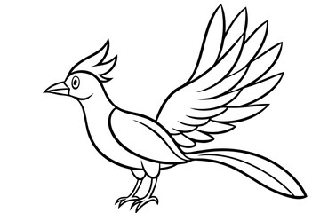 Fototapeta premium Zephyrelle bird line art white background 