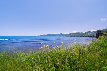 A stunning Black Sea landscape in Turkey features clear blue water and dense coastal forest hills viewed through a wide-angle grass foreground. Perfect for travel brochures.