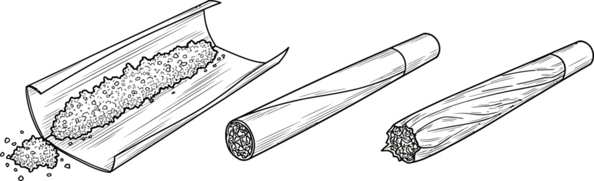 Cigarillos and a box of cigars illustration