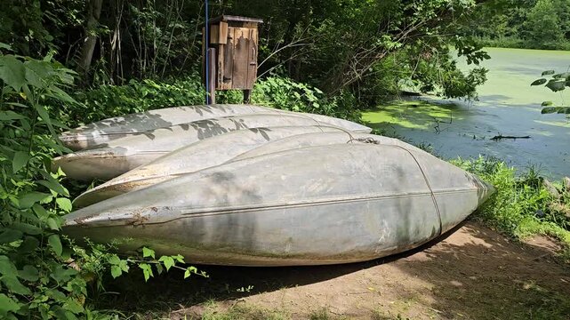 Recreational canoe boats lined up for rent beside duckweed covered lake