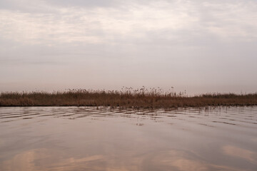 Hydrology of the Wetlands: Wave Propagation and Surface Tension Ripples in a Winding Mesopotamian Marsh Cha