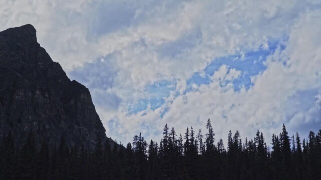 Silhouetted Forest and Mounain Peak under Dramatic Cludy Sky