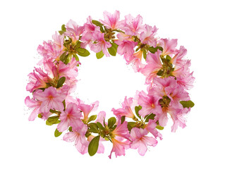 azalea flowers wreath isolated White or transparent background 