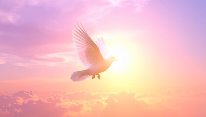 birds flying in the afternoon