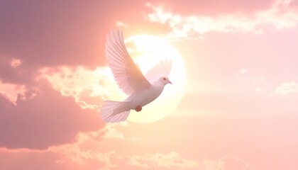 birds flying in the afternoon