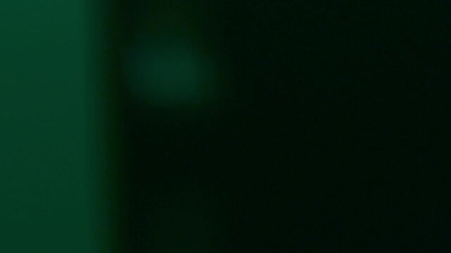 Vintage film dust and grunge. The Film Leaks Transition creates a retro light bleed effect.
