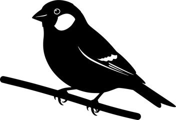 Obraz premium Finch silhouette, Finch birds silhouette, Finch silhouette Clipart, Bird