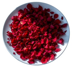 Red rose petals scattered on transparent background