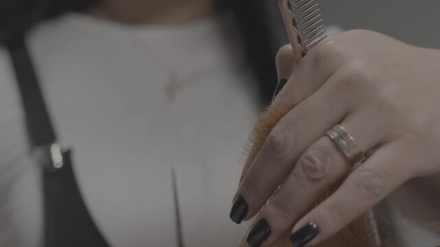 Close-up view of professional hairdresser hands with black nails carefully trimming damaged split ends of red hair using comb and sharp scissors in beauty salon.

