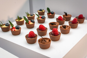 Gourmet mini chocolate cups filled with creamy desserts, raspberries, and blueberries are displayed...