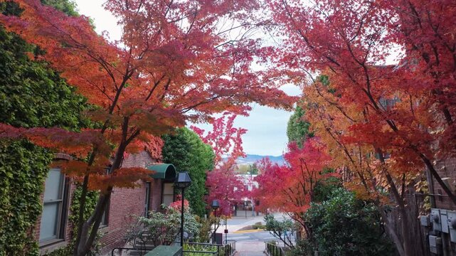 A beautiful scenic view capturing Chautauqua Park in Ashland, Oregon, filled with the vibrant, colorful foliage of the autumn season