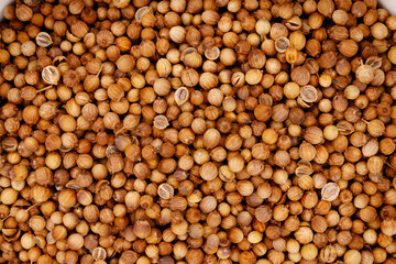 Coriander seeds creating seasoning spice texture background