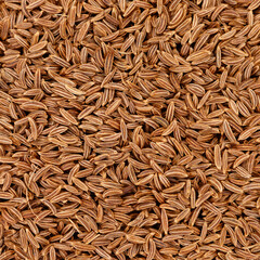 Cumin seeds creating a textured dry spice background