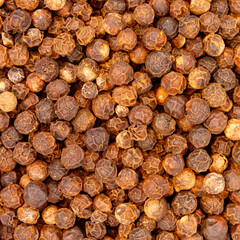 Whole black peppercorns showing rustic texture and cooking ingredient