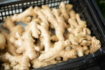 Ginger in shop window. Stocks of fruits in stores storage. Fresh fruit vegetable harvest from producer is already on store shelves.