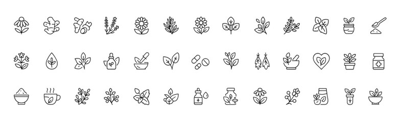 Fototapeta premium Medicinal herbs vector icon set, thin line pictograms of echinacea, ginger, turmeric, lavender, rosemary, calendula, lemon balm, dandelion, st johns wort, botanical healing illustration