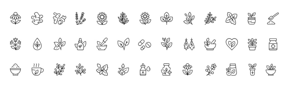 Medicinal herbs vector icon set, thin line pictograms of echinacea, ginger, turmeric, lavender, rosemary, calendula, lemon balm, dandelion, st johns wort, botanical healing illustration