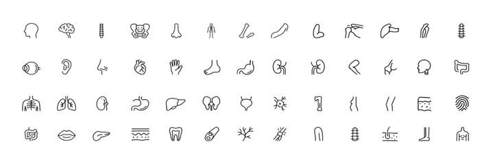 Anatomy body organ glyph icon set, black silhouette pictograms of skeleton, spine, eye, ear, nose, mouth, lips, hand, foot, stomach, kidneys, bladder, medical vector illustration, healthcare icons