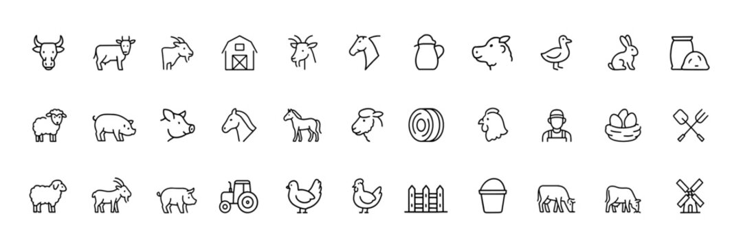 Farm Animal Icon Set, thin line vector illustrations of cow, bull, sheep, goat, pig, horse and lamb, rural agriculture pictograms for livestock farming, barnyard life, domestic animals