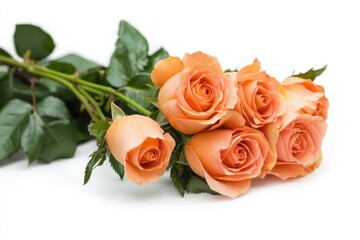 Fototapeta premium Beautiful bunch of orange roses on a white background with green leaves