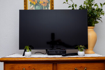 Flat screen television placed on a wooden cabinet with small green plants and decorative items, creating a clean and balanced living room setup in a modern home interior.