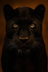 black panther mammal animal AI generated