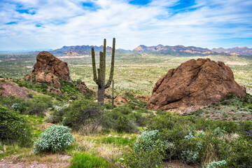 Arizona's Lost Dutchman State Park on the Apache Trail near Phoenix in the fall of 2025 © Ed