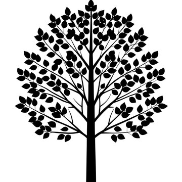 Group of Aspen Quaking Tree Forest Silhouettes Vector Graphics