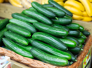 High quality imported eco cucumber are grouped in pyramid on shop window. From producers farmer to consumers table.