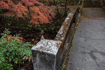 Autumn Maple Leaves at Daidoin Temple, Shizuoka / 静岡県 大洞院の紅葉風景