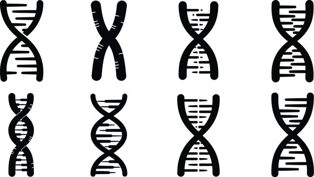 Illustration of human chromosome structures and variations in dna shapes