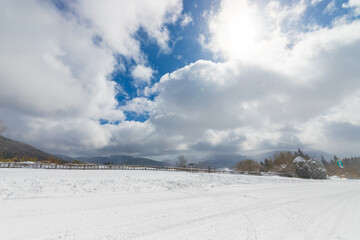 九重町の雪景色（大分県九重町）