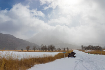 九重町の雪景色（大分県九重町）