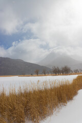 九重町の雪景色（大分県九重町）