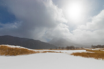 九重町の雪景色（大分県九重町）